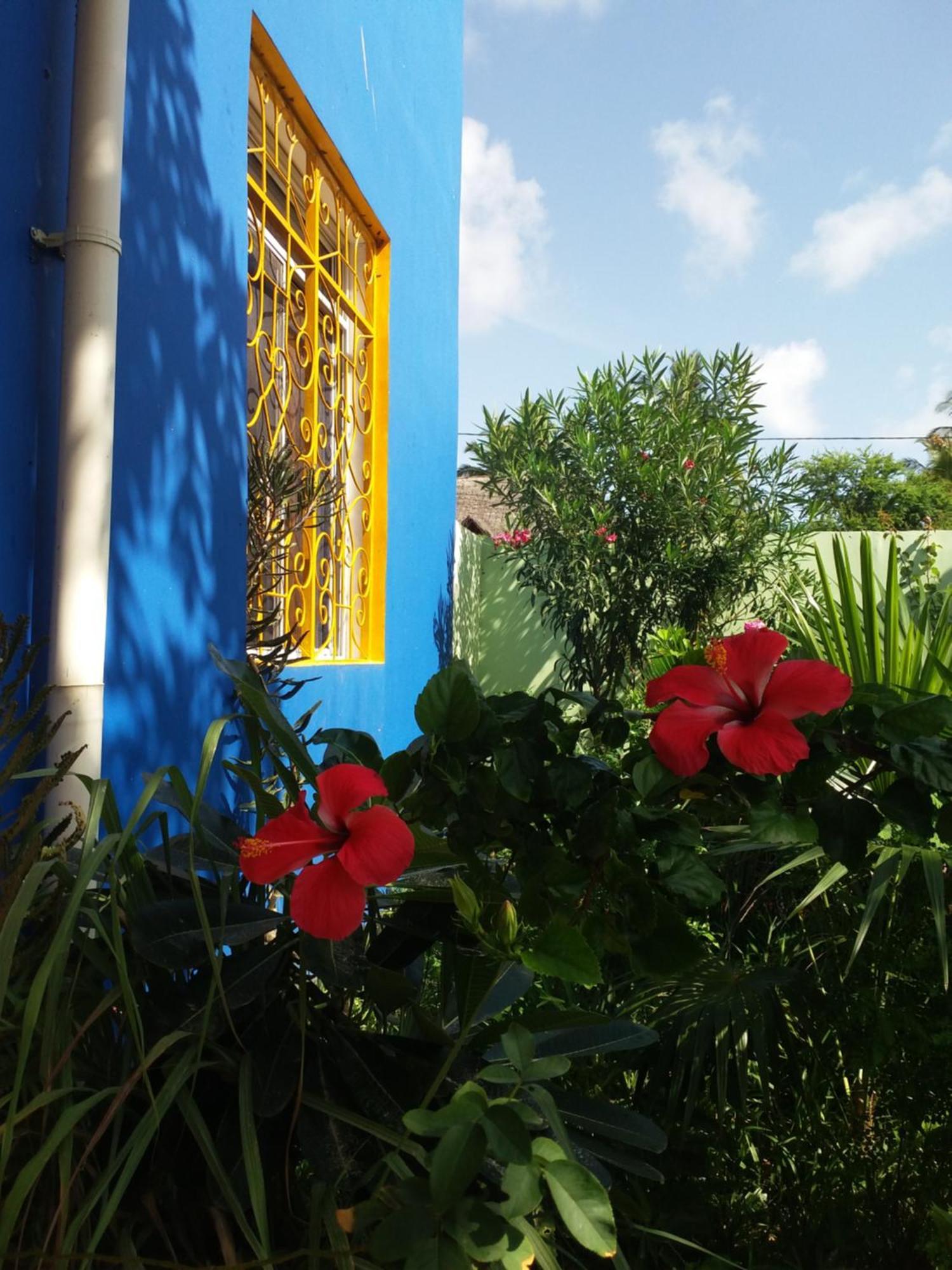 La Locanda Lodge - Apartment, 4 Double Rooms & Kitchen Near The Beach Jambiani  Esterno foto